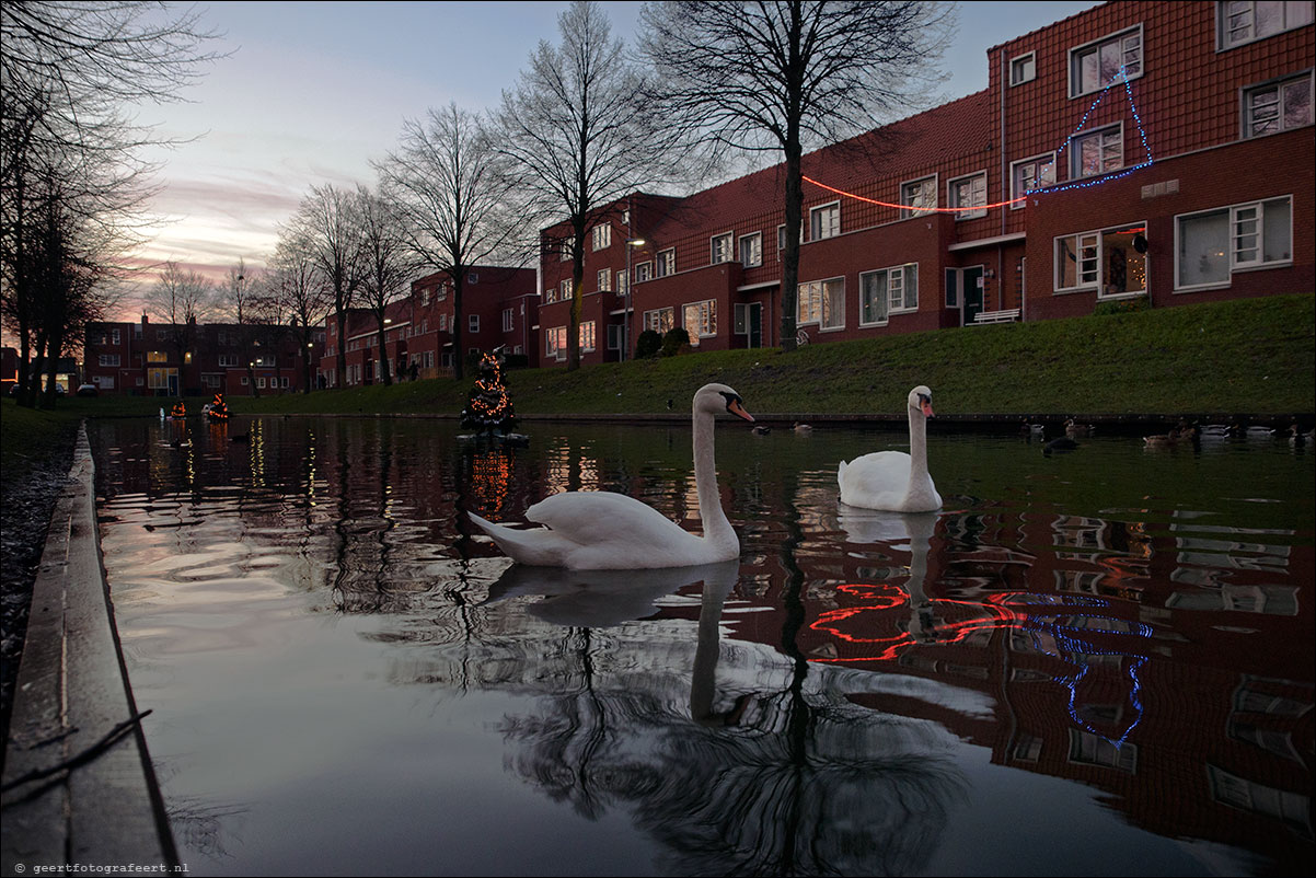 stedenwijk