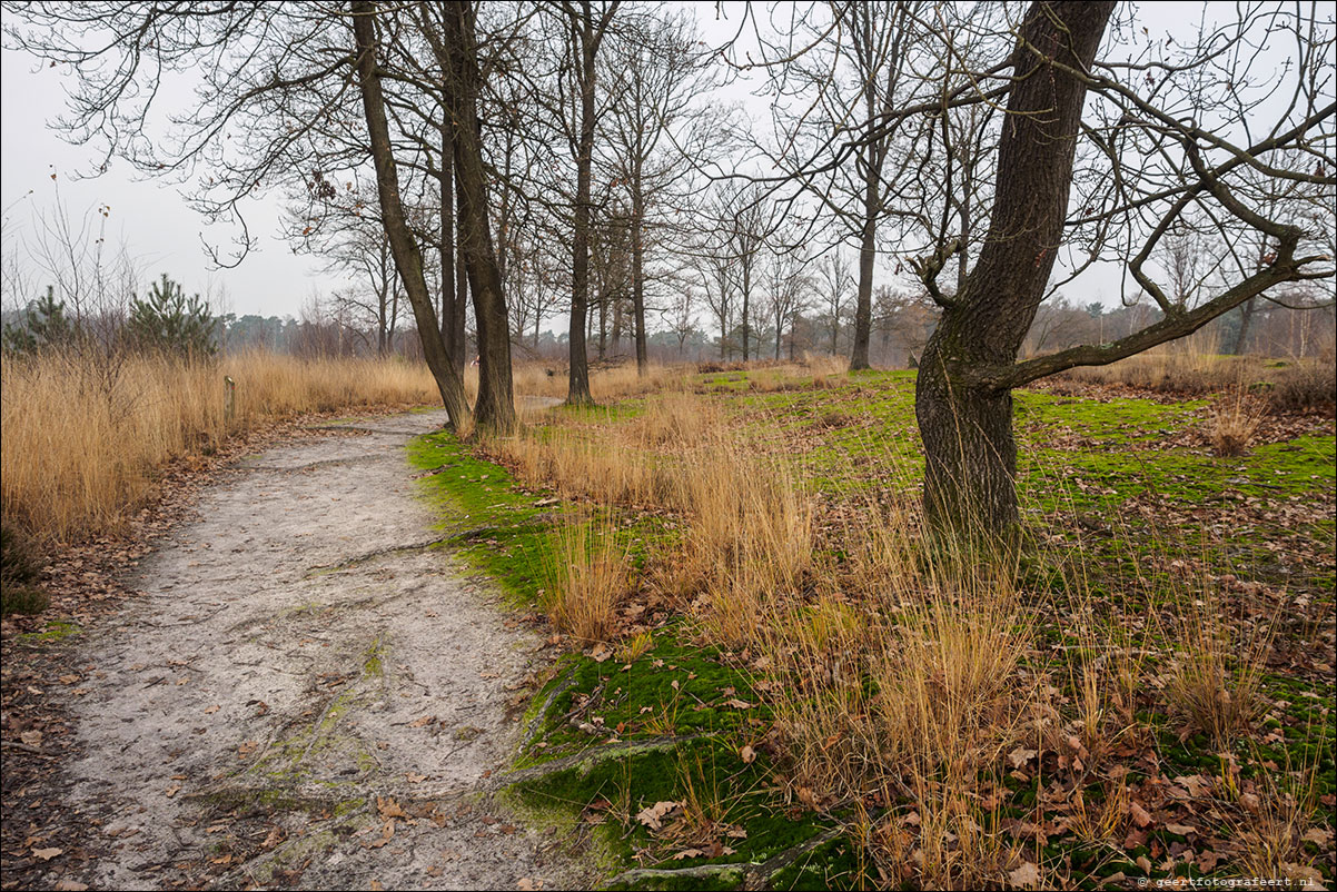 Pelgrimspad Haaren - Spoordonk - Middelbeers