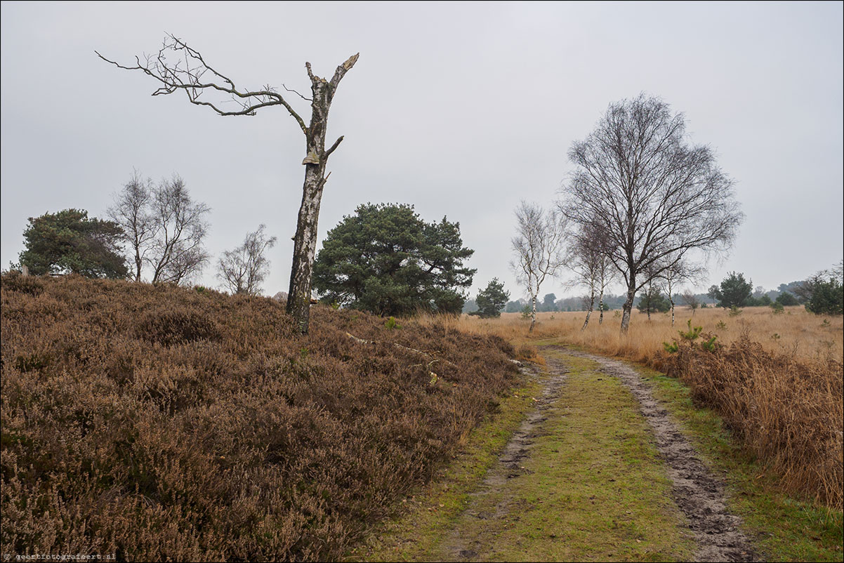 Pelgrimspad Haaren - Spoordonk - Middelbeers