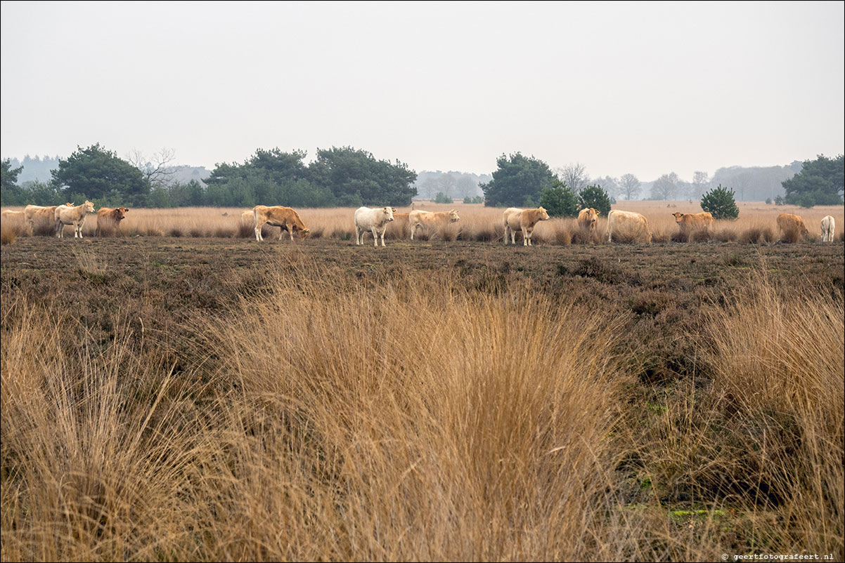 Pelgrimspad Haaren - Spoordonk - Middelbeers