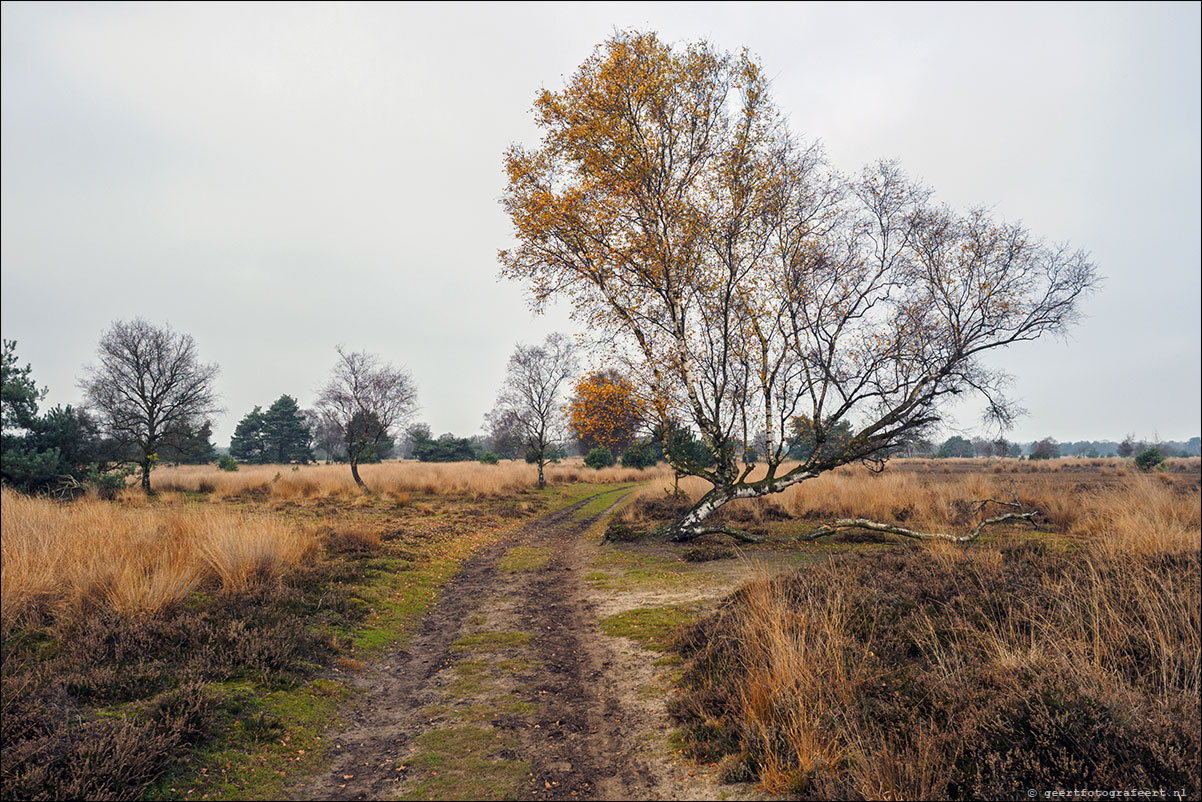 Pelgrimspad Haaren - Spoordonk - Middelbeers