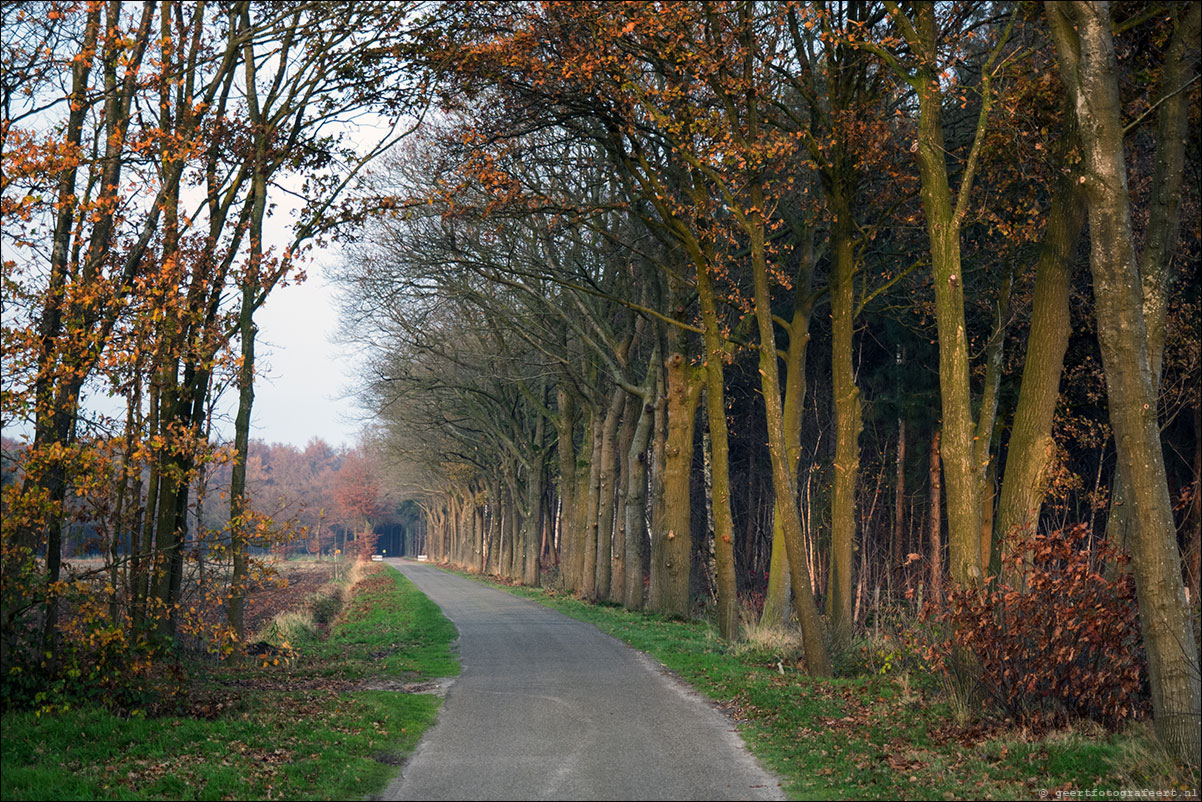 Pelgrimspad Haaren - Spoordonk - Middelbeers