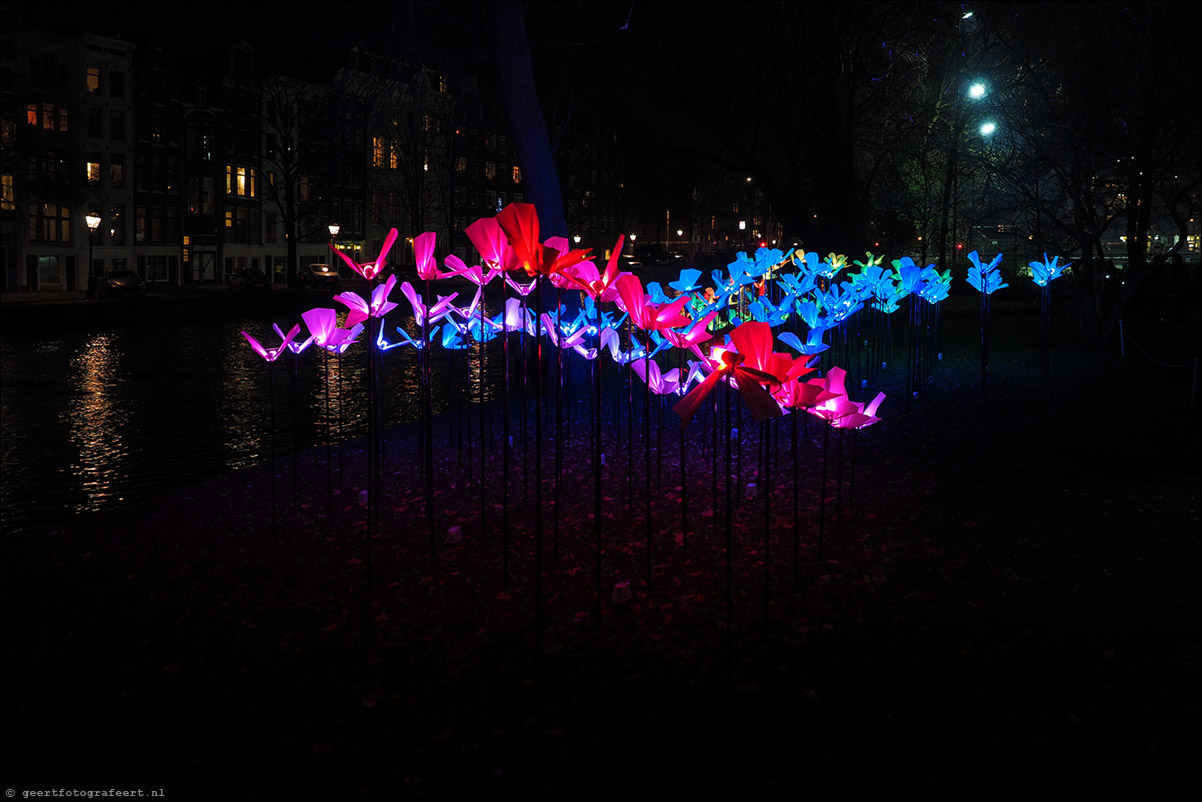 light festival 2014 amsterdam