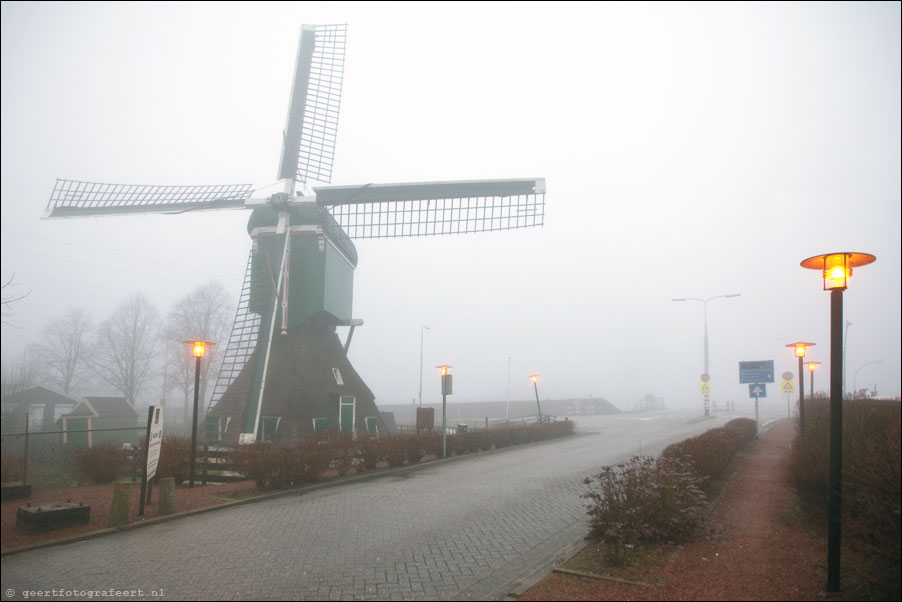 breukelen - spinnekop