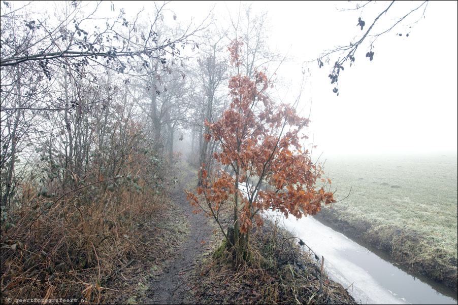 hollandse kade