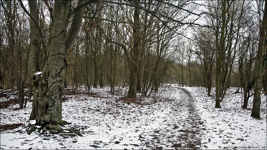 Noord Hollands Duinreservaat