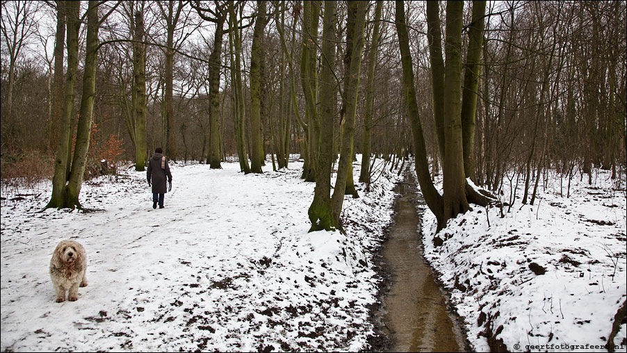 Westerpark, Beverwijk