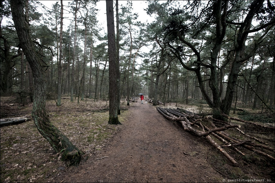 den dolder - de zoom