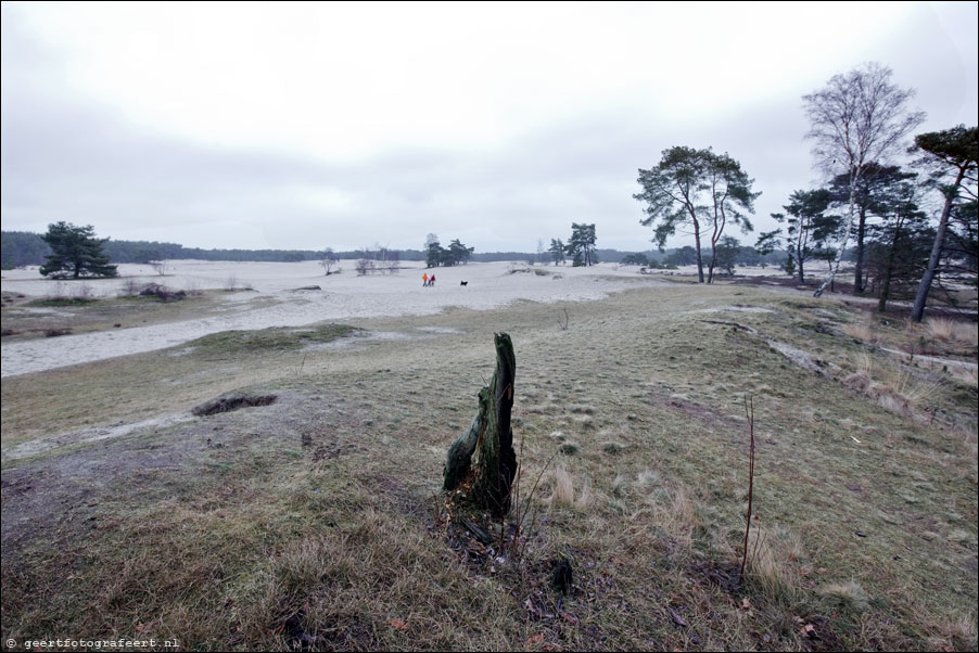 lange duinen