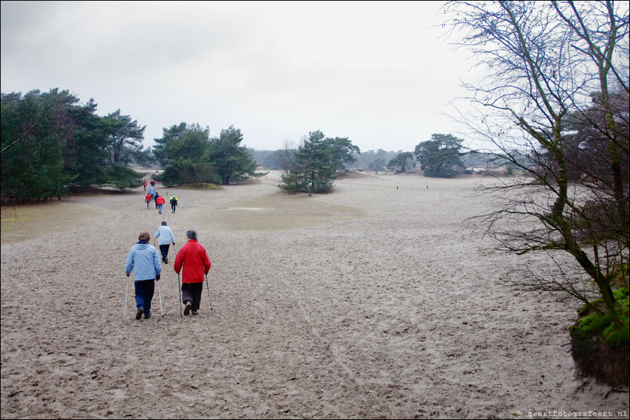 lange duinen