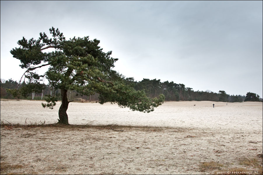 korte duinen