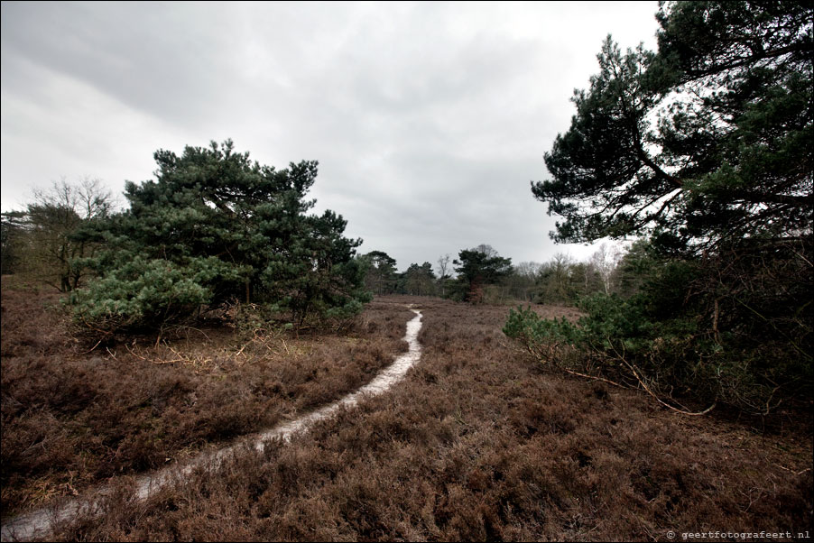 korte duinen