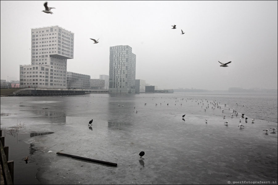 weerwater, skyline almere