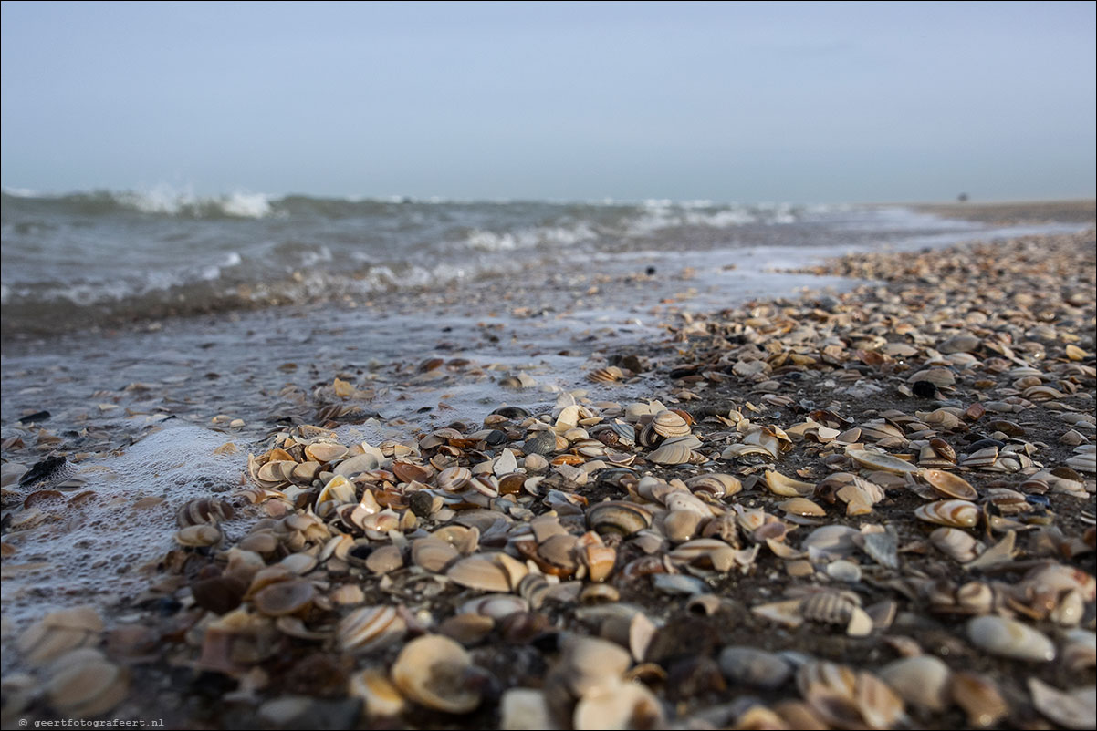 hoek van holland - scheveningen - langs strand