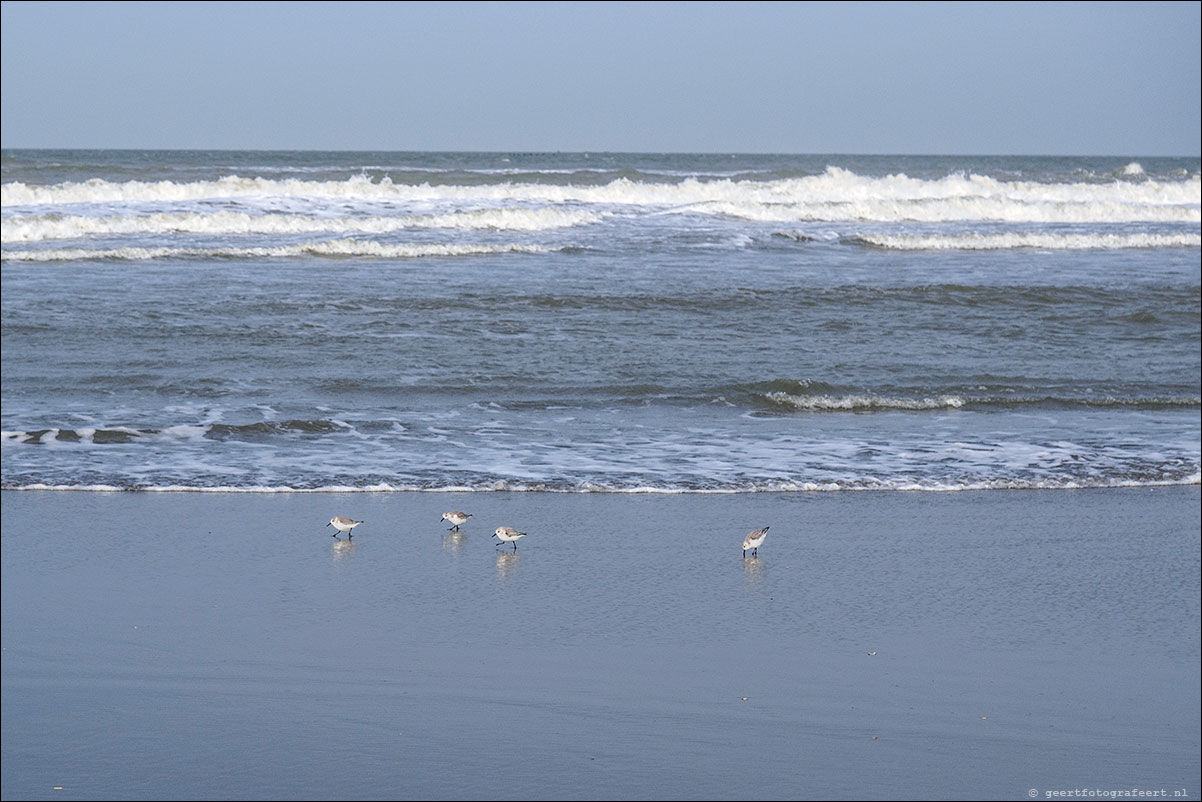 hoek van holland - scheveningen - langs strand