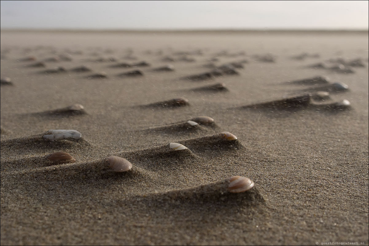 hoek van holland - scheveningen - langs strand