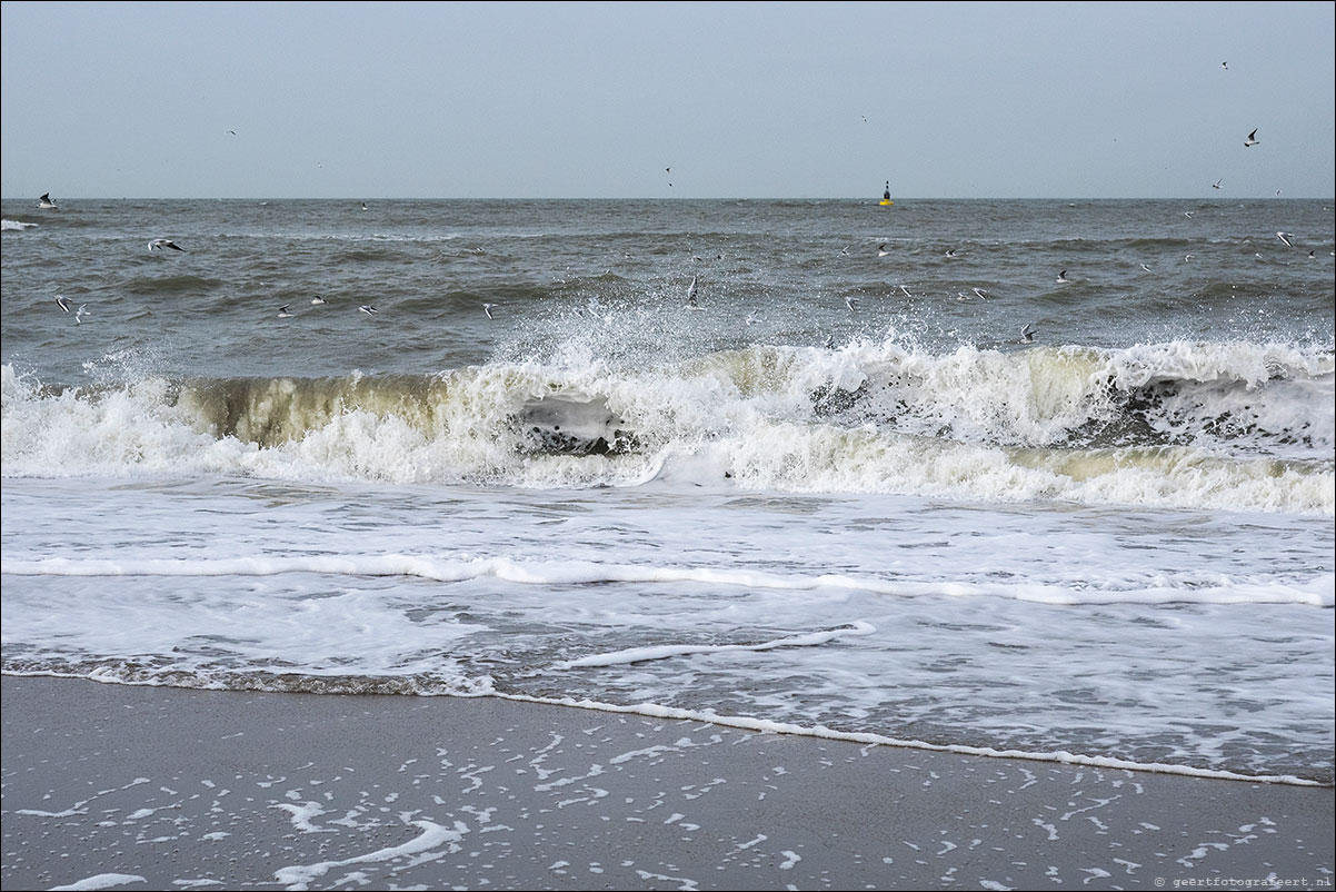 hoek van holland - scheveningen - langs strand