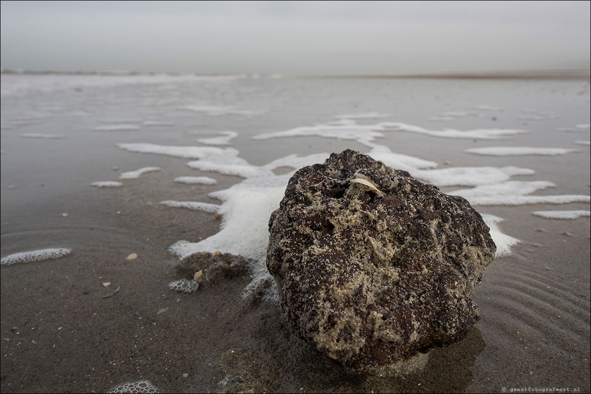 hoek van holland - scheveningen - langs strand