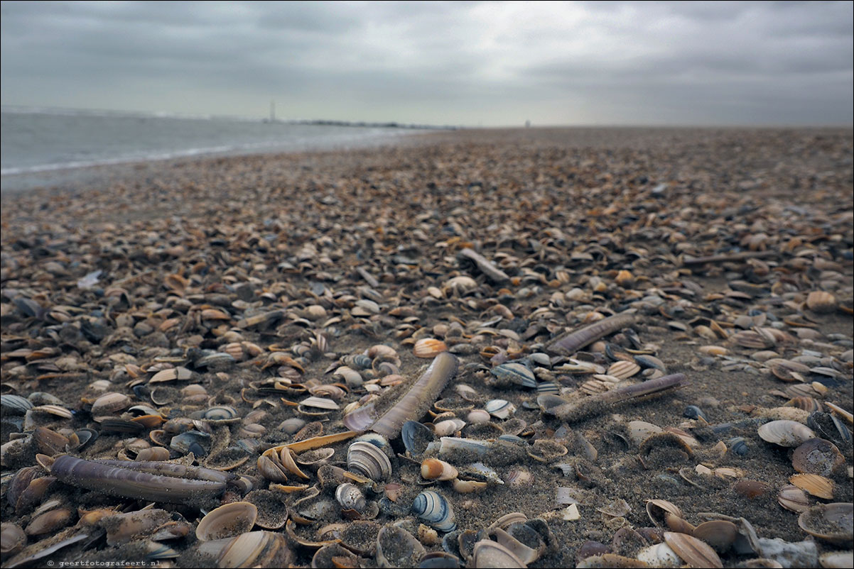 hoek van holland - scheveningen - langs strand