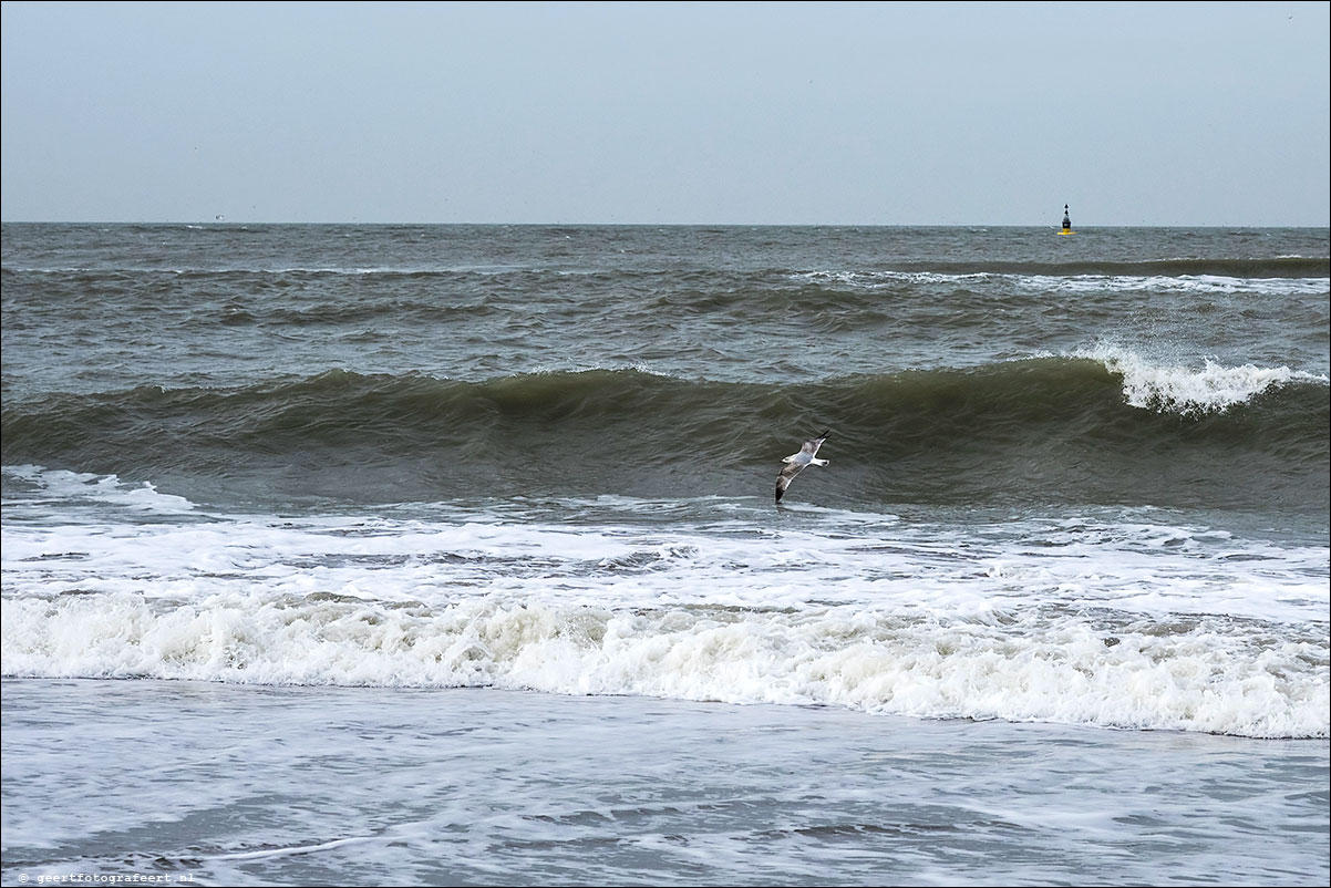 hoek van holland - scheveningen - langs strand