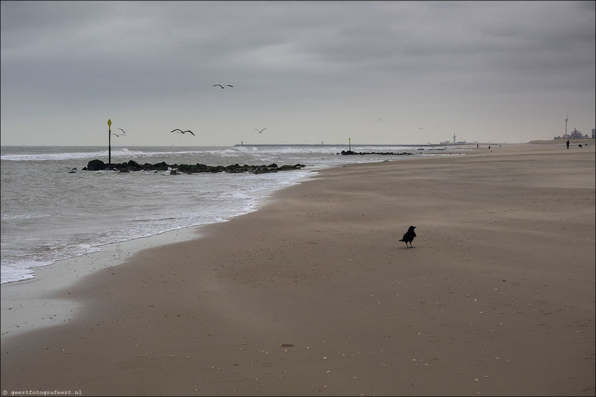 hoek van holland - scheveningen - langs strand