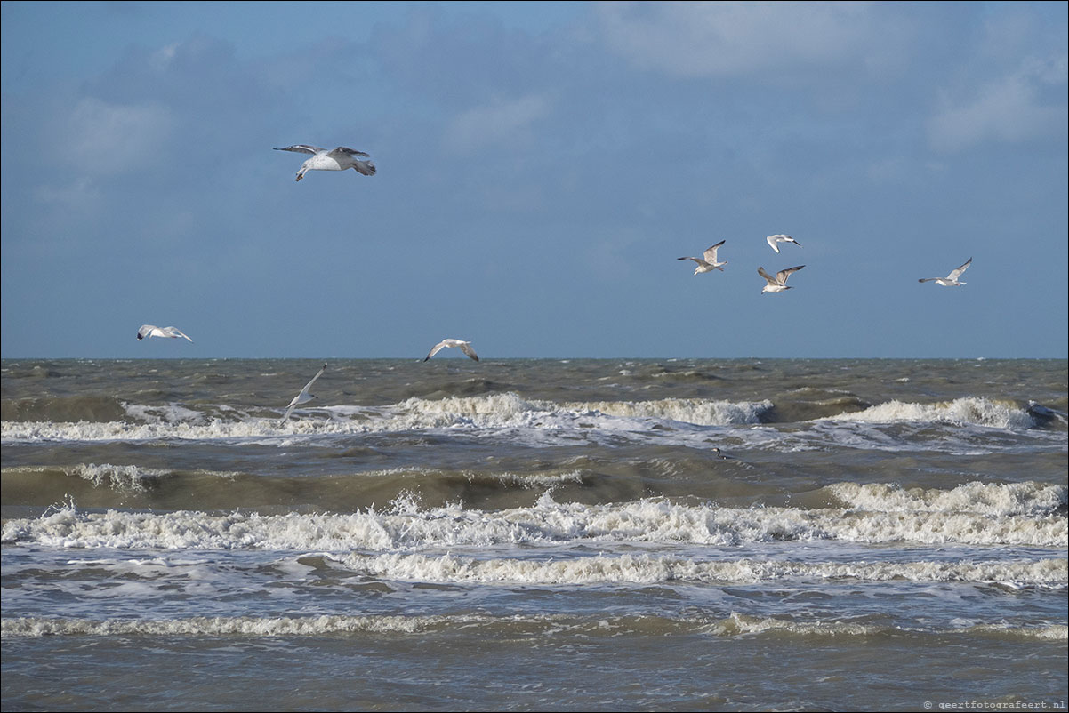 strandwandeling katwijk zandvoort