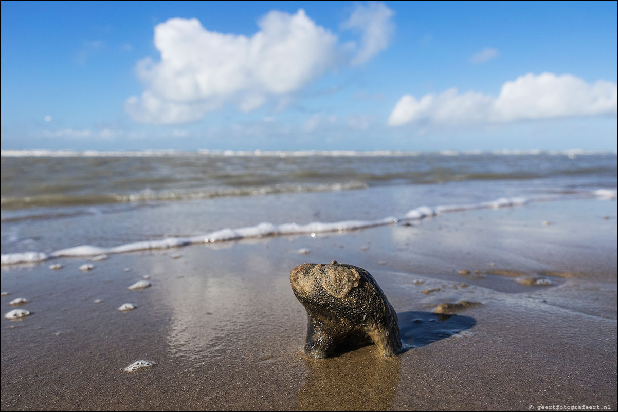 strandwandeling katwijk zandvoort