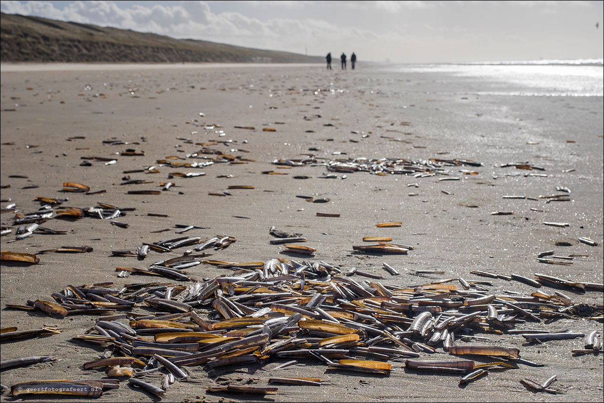 strandwandeling katwijk zandvoort