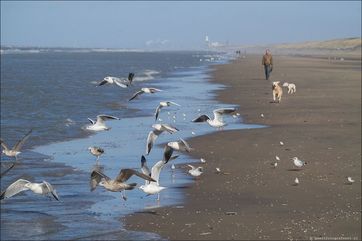 strandwandeling katwijk zandvoort