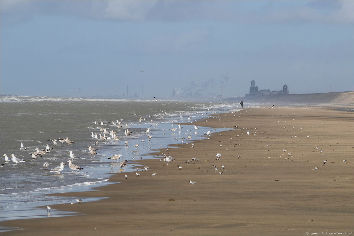 strandwandeling katwijk zandvoort