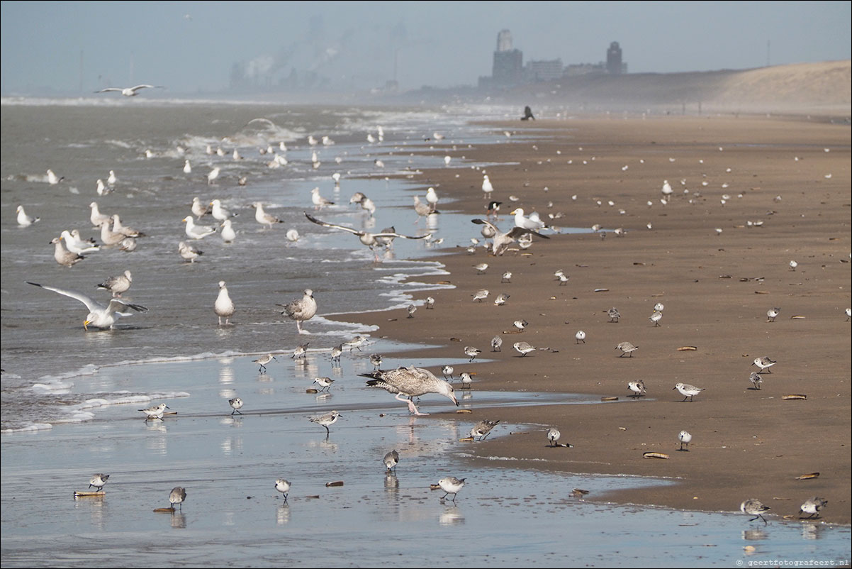 strandwandeling katwijk zandvoort