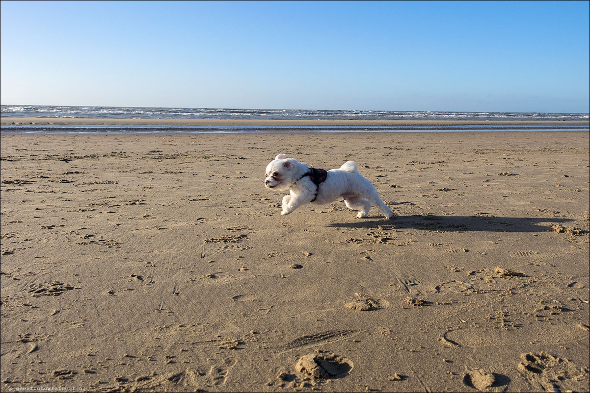 strandwandeling katwijk zandvoort