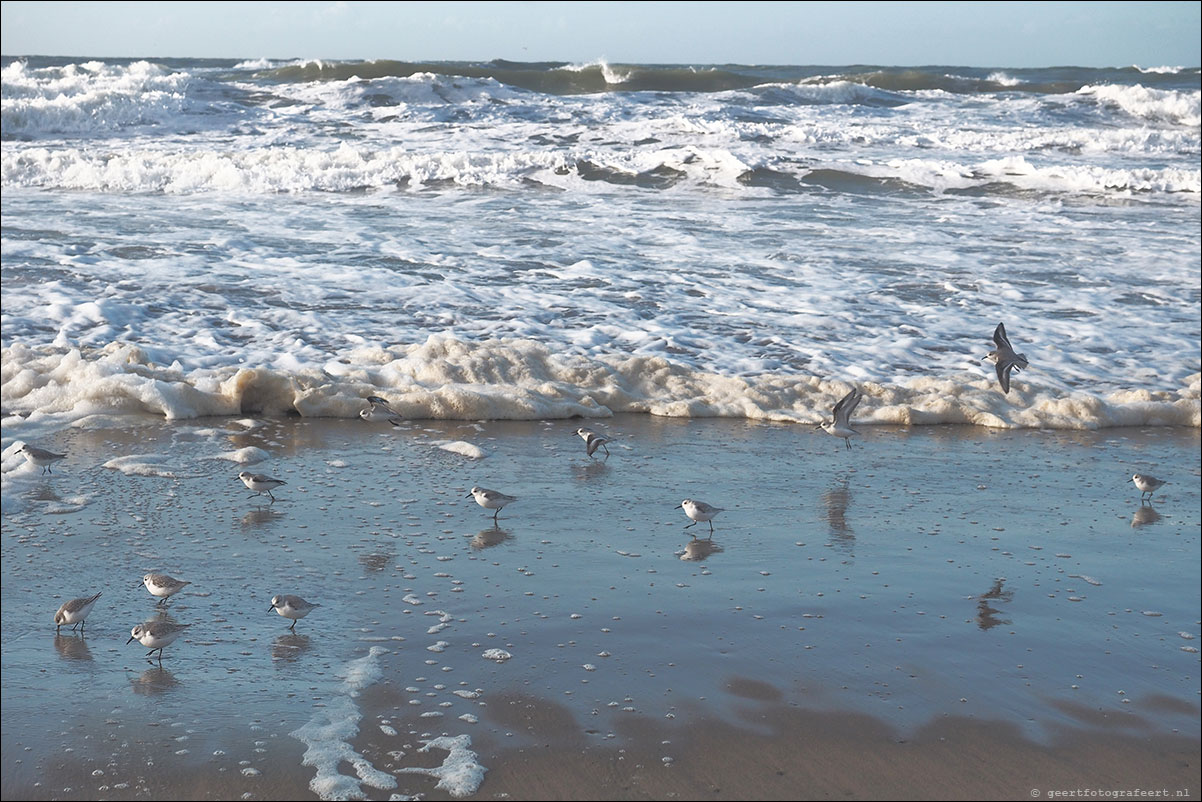 scheveningen katwijk strandwandeling