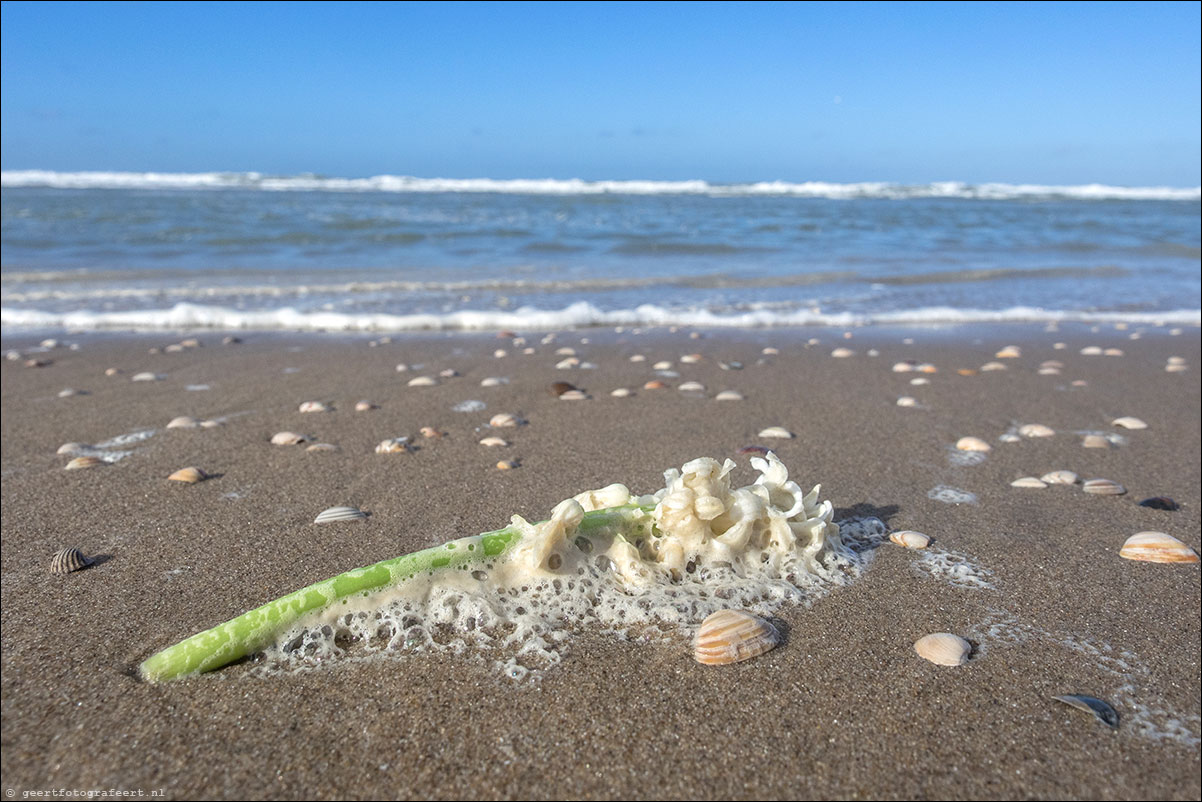 scheveningen katwijk strandwandeling