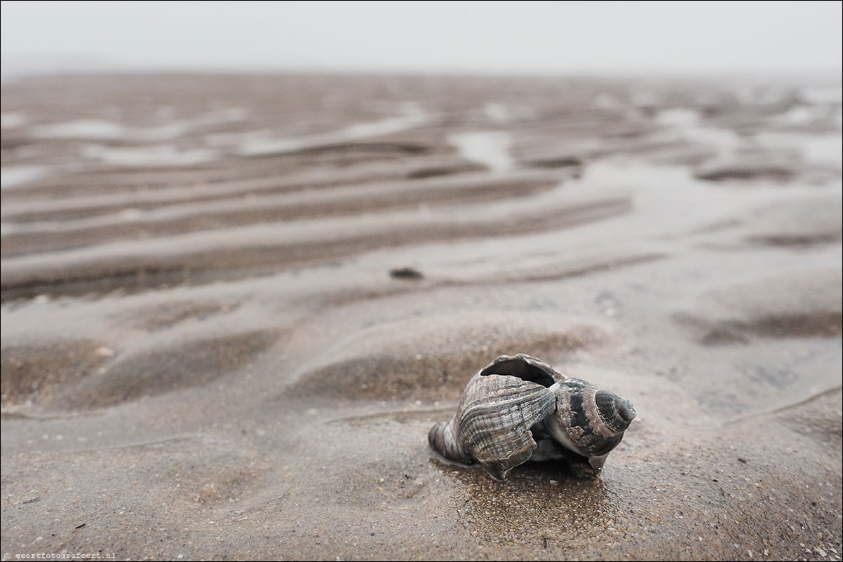 wandeling zandvoort egmond aan zee