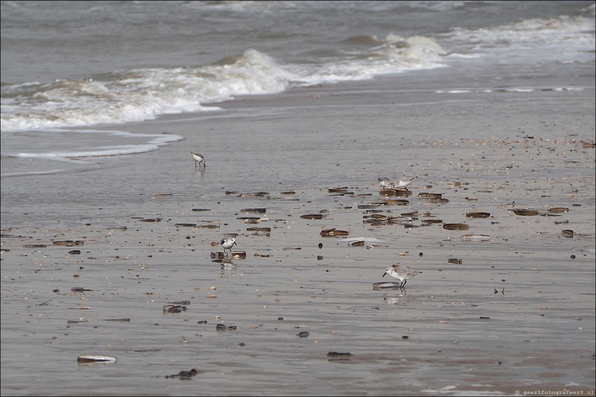 wandeling zandvoort egmond aan zee