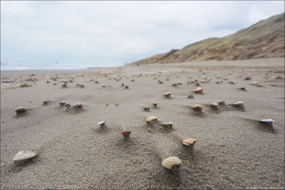 wandeling zandvoort egmond aan zee