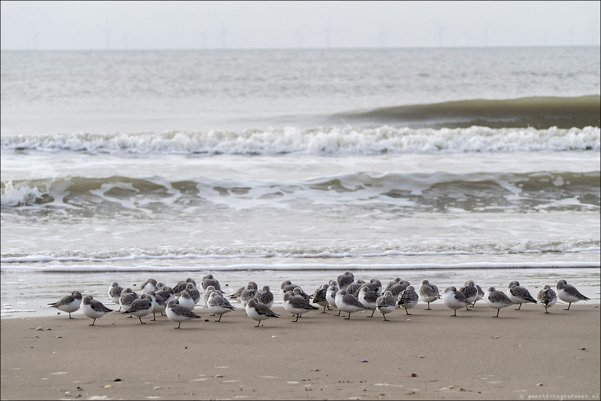 wandeling zandvoort egmond aan zee