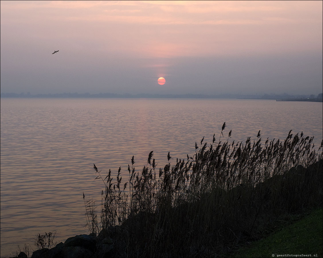 sunset almere