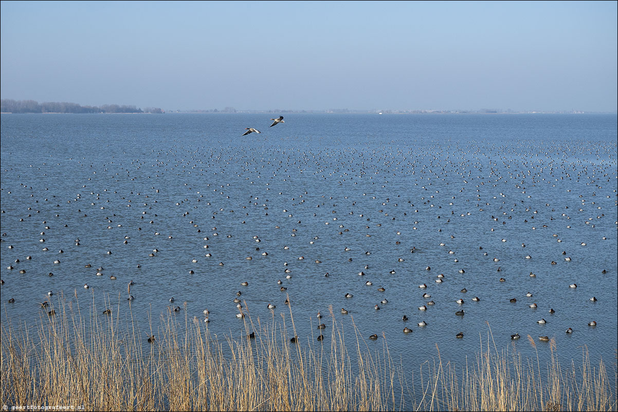 zuiderzeepad monnickendam marken