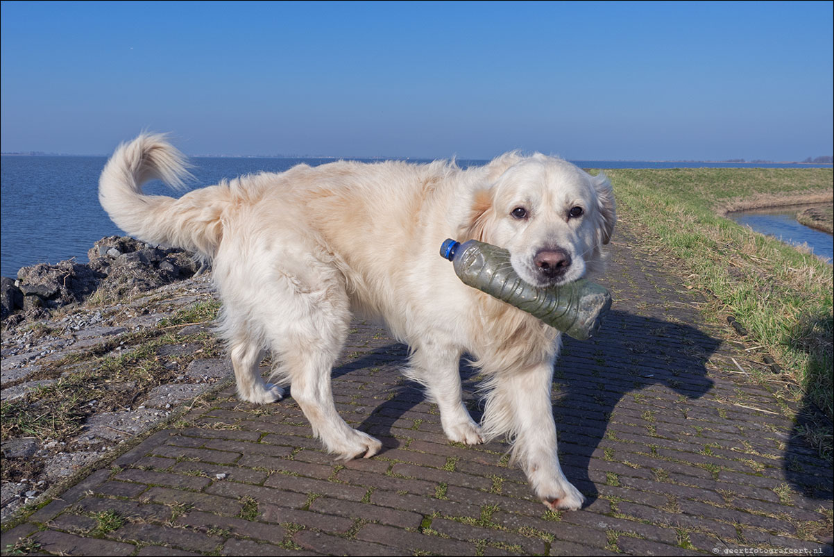 zuiderzeepad monnickendam marken