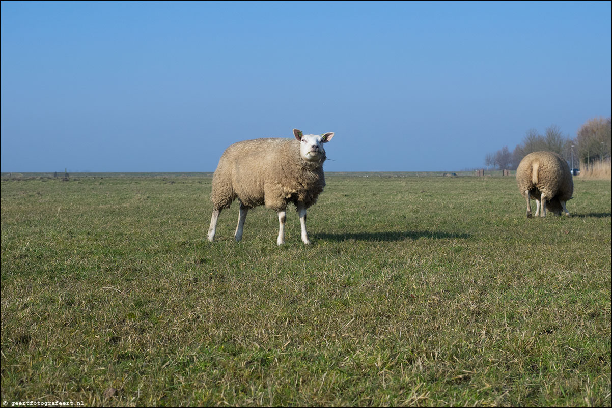 zuiderzeepad monnickendam marken