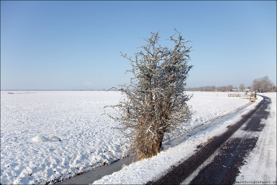 lage klomweg, weesp