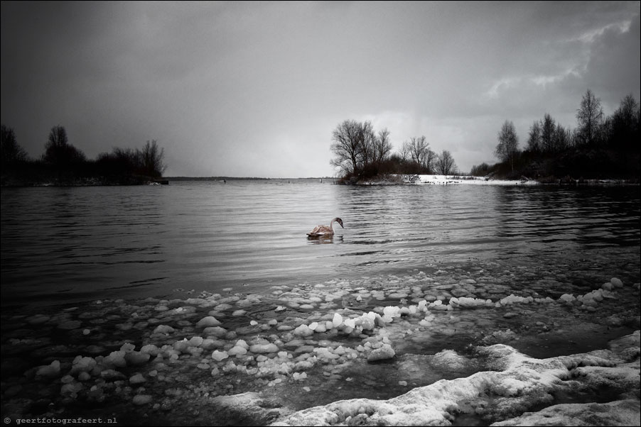 Winter Loneliness