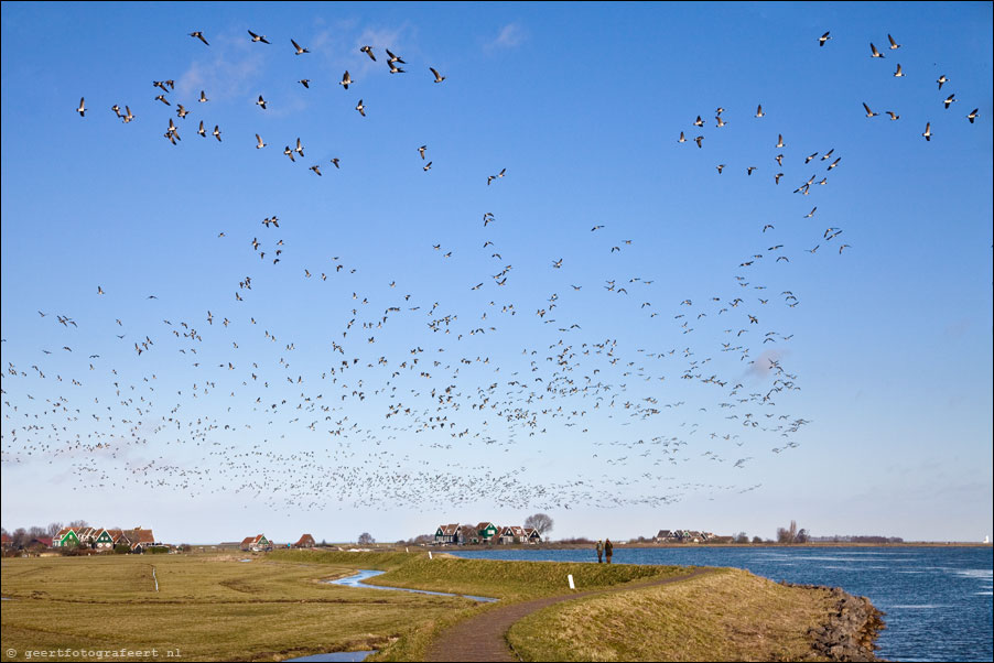 marken