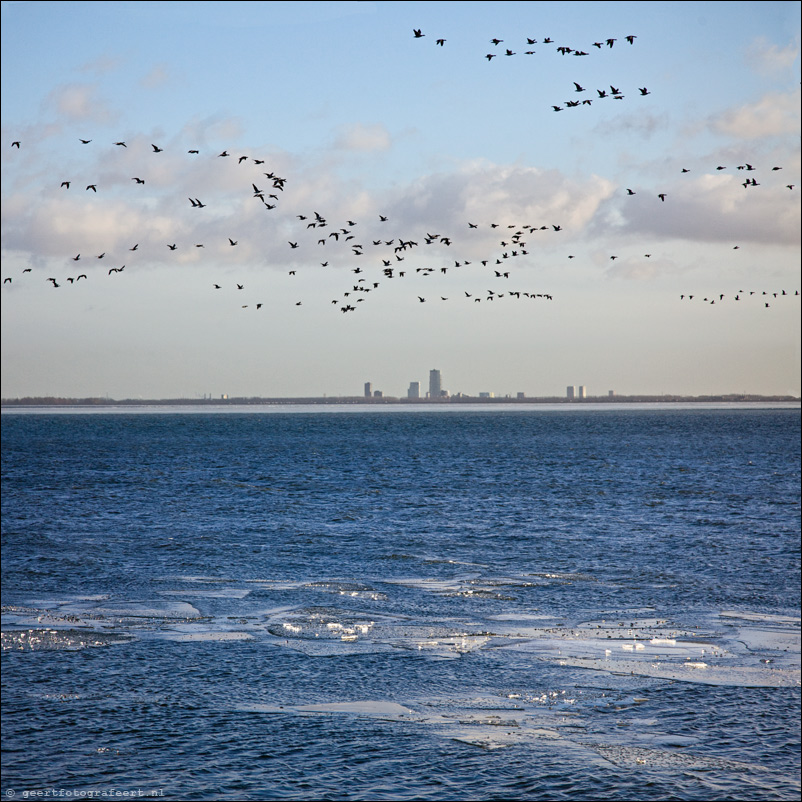 markermeer - skymine almere