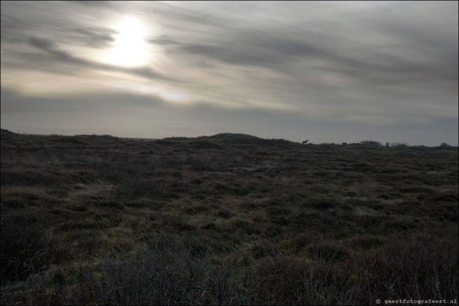 ameland, kooiduinen