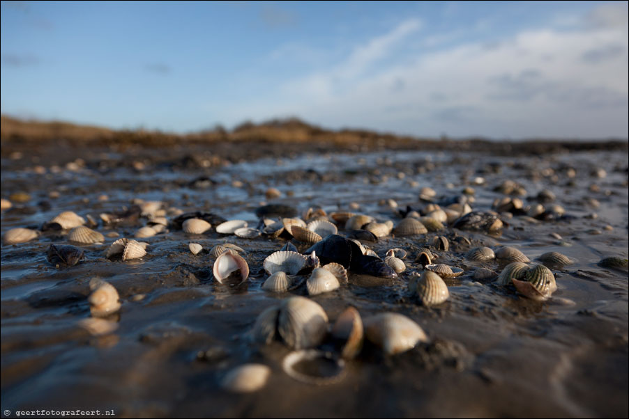 ameland, het oerd