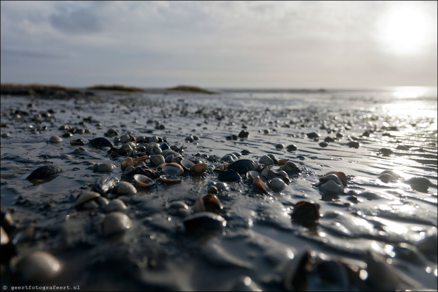 ameland, het oerd