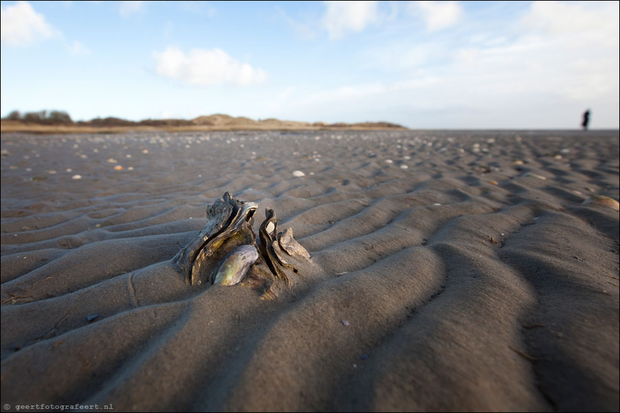 ameland, het oerd